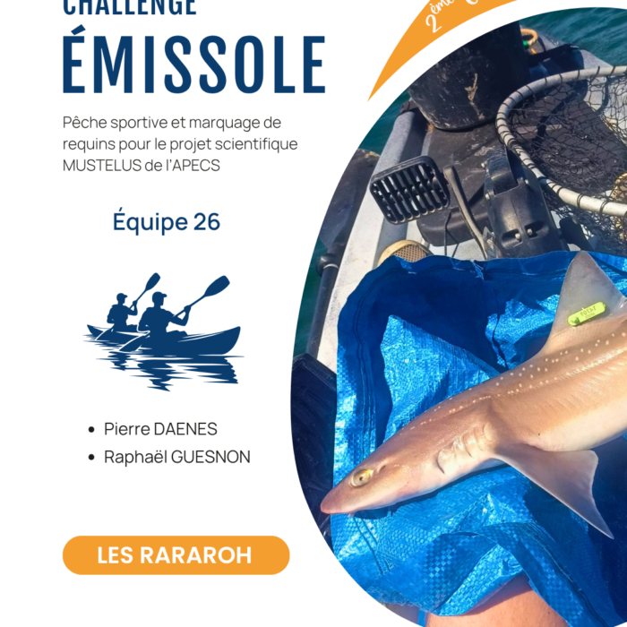 APECS Bilan de la seconde édition du challenge émissole