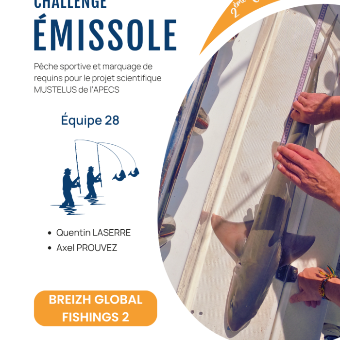 APECS Bilan de la seconde édition du challenge émissole