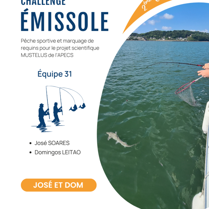 APECS Bilan de la seconde édition du challenge émissole