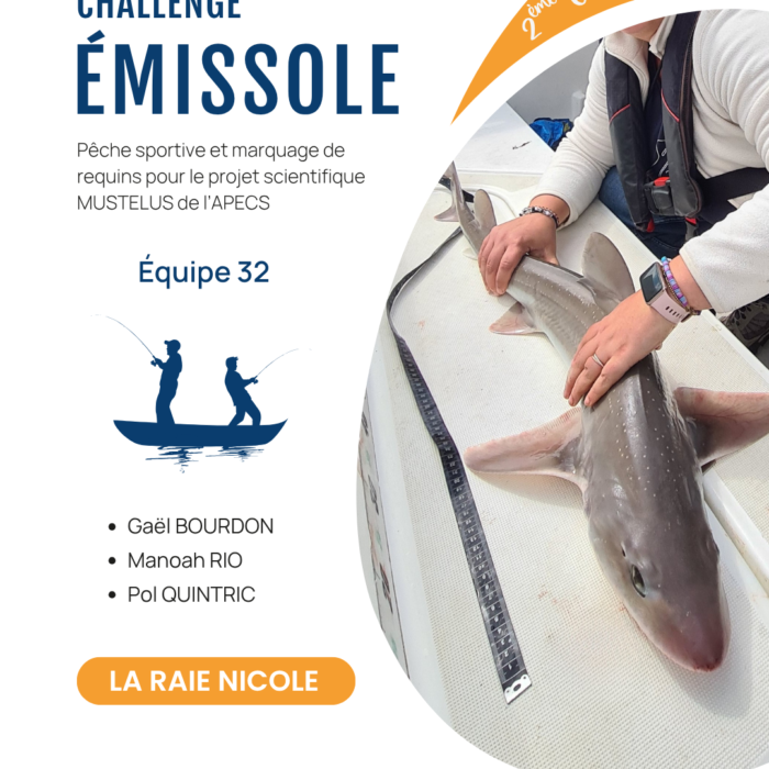 APECS Bilan de la seconde édition du challenge émissole