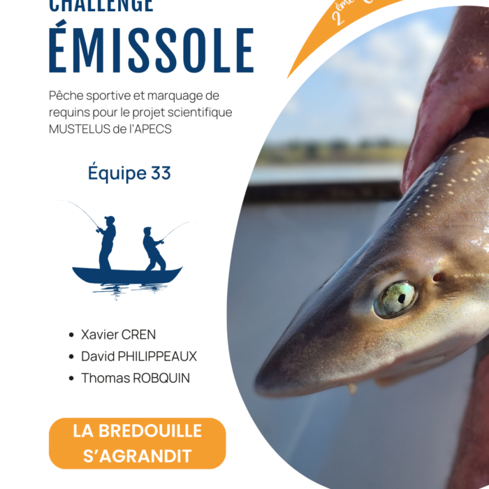APECS Bilan de la seconde édition du challenge émissole
