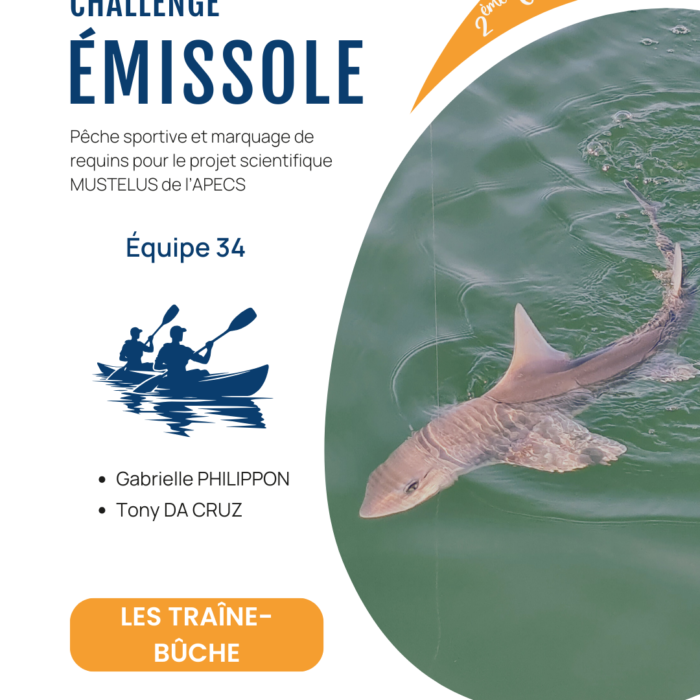 APECS Bilan de la seconde édition du challenge émissole