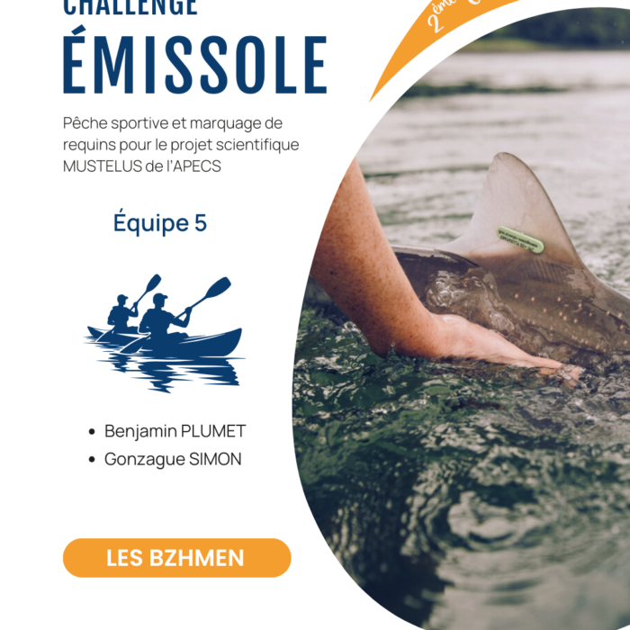 APECS Bilan de la seconde édition du challenge émissole