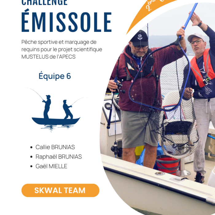 APECS Bilan de la seconde édition du challenge émissole