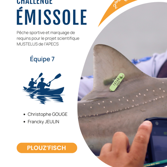 APECS Bilan de la seconde édition du challenge émissole