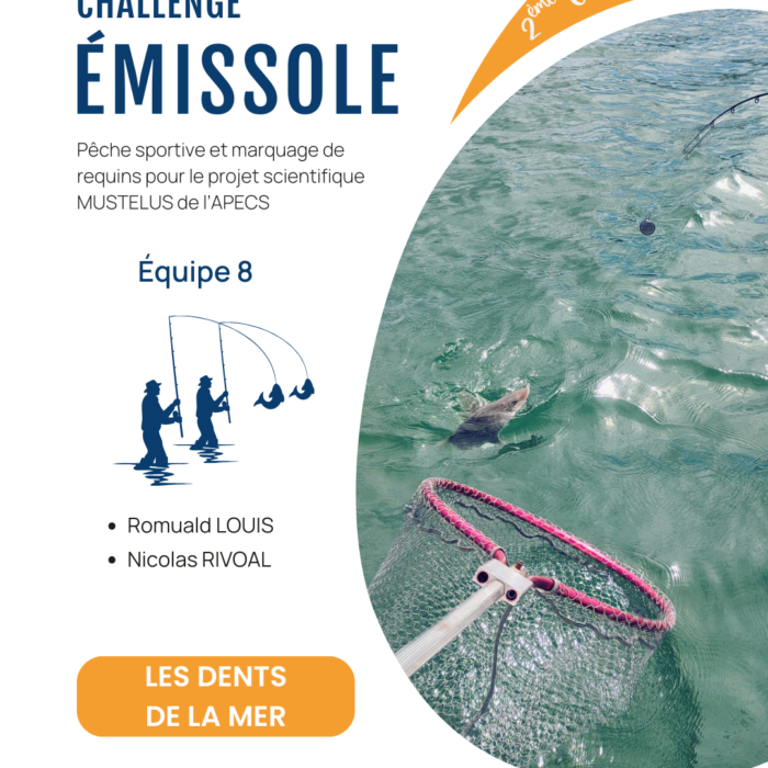 APECS Bilan de la seconde édition du challenge émissole