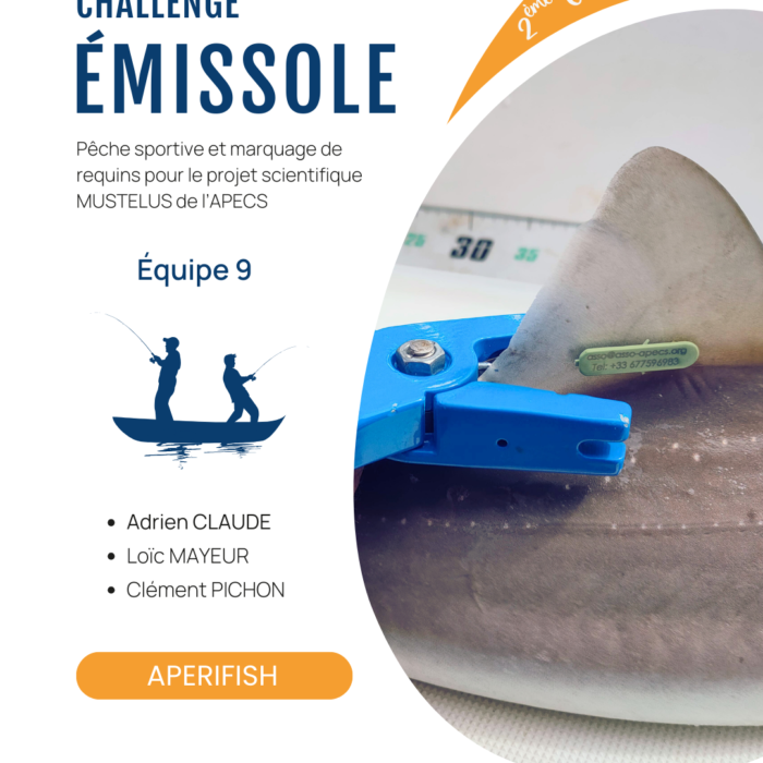 APECS Bilan de la seconde édition du challenge émissole