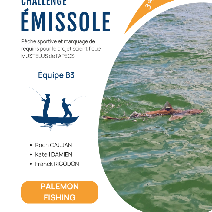 APECS 3ème édition du Challenge émissole – 29 août 2026. Annulation à cause des conditions météo