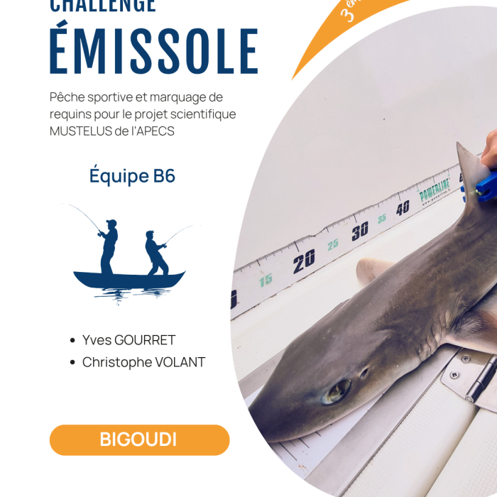 APECS 3ème édition du Challenge émissole – 29 août 2026. Annulation à cause des conditions météo