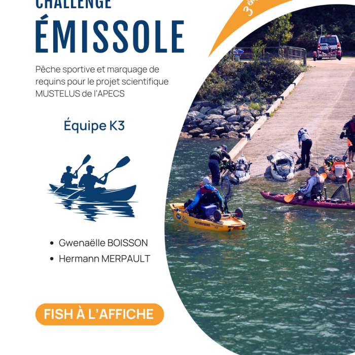 APECS 3ème édition du Challenge émissole – 29 août 2026. Annulation à cause des conditions météo