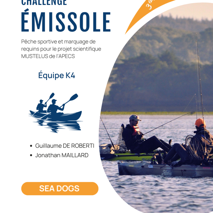 APECS 3ème édition du Challenge émissole – 29 août 2026. Annulation à cause des conditions météo