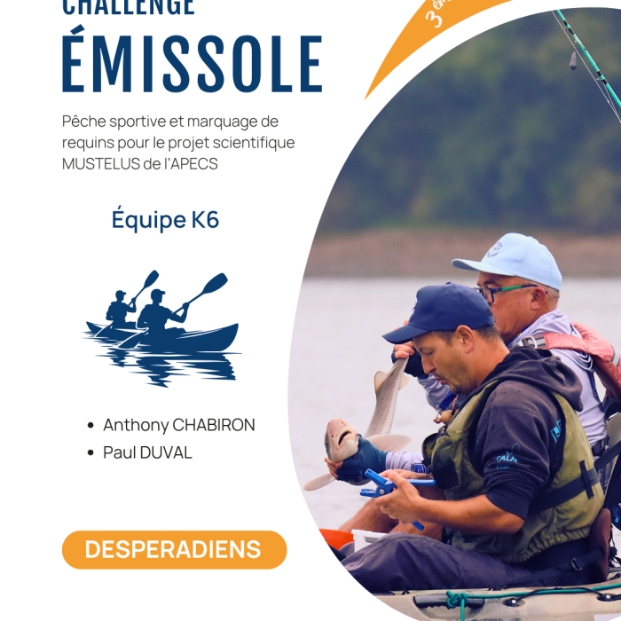 APECS 3ème édition du Challenge émissole – 29 août 2026. Annulation à cause des conditions météo