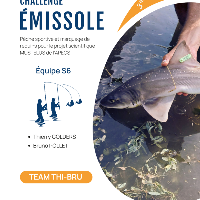 APECS 3ème édition du Challenge émissole – 29 août 2026. Annulation à cause des conditions météo