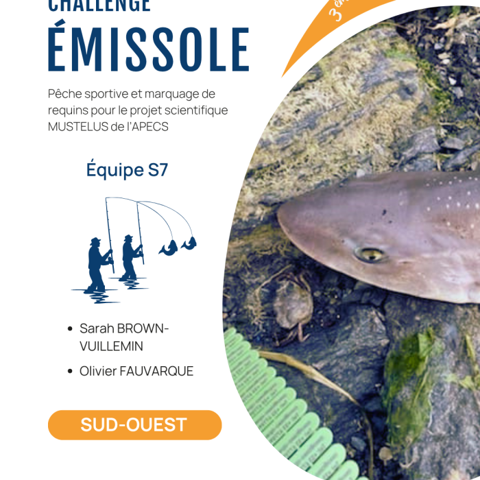 APECS 3ème édition du Challenge émissole – 29 août 2026. Annulation à cause des conditions météo