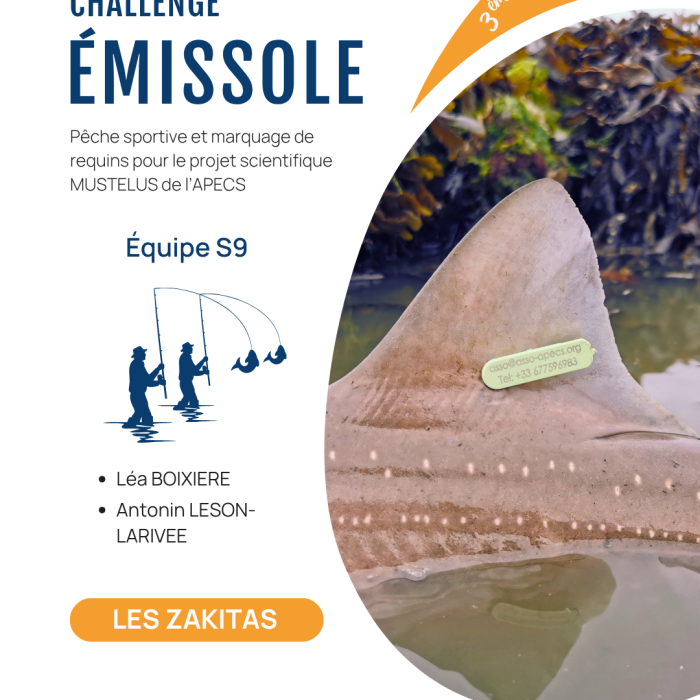 APECS 3ème édition du Challenge émissole – 29 août 2026. Annulation à cause des conditions météo