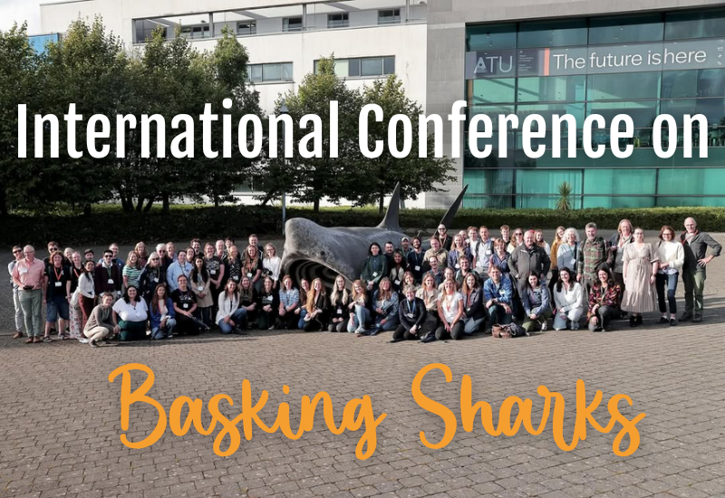 Retour sur notre présence à la conférence internationale sur le requin pèlerin
