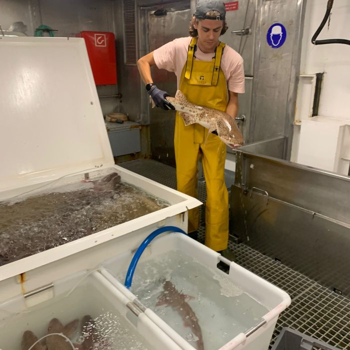 APECS L&rsquo;APECS embarque sur les campagnes scientifiques CGFS et EVHOE de l&rsquo;Ifremer