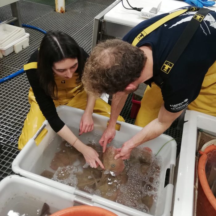 APECS L&rsquo;APECS embarque sur les campagnes scientifiques CGFS et EVHOE de l&rsquo;Ifremer