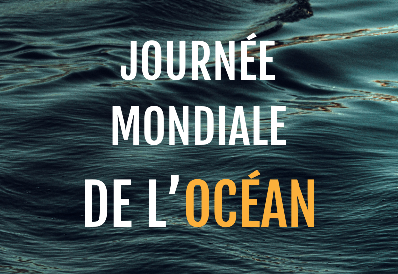 Journée mondiale de l&rsquo;Océan