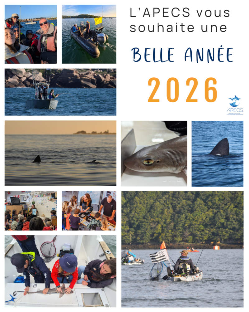 APECS Toute l&rsquo;équipe de l&rsquo;APECS vous souhaite une excellente année 2025 !