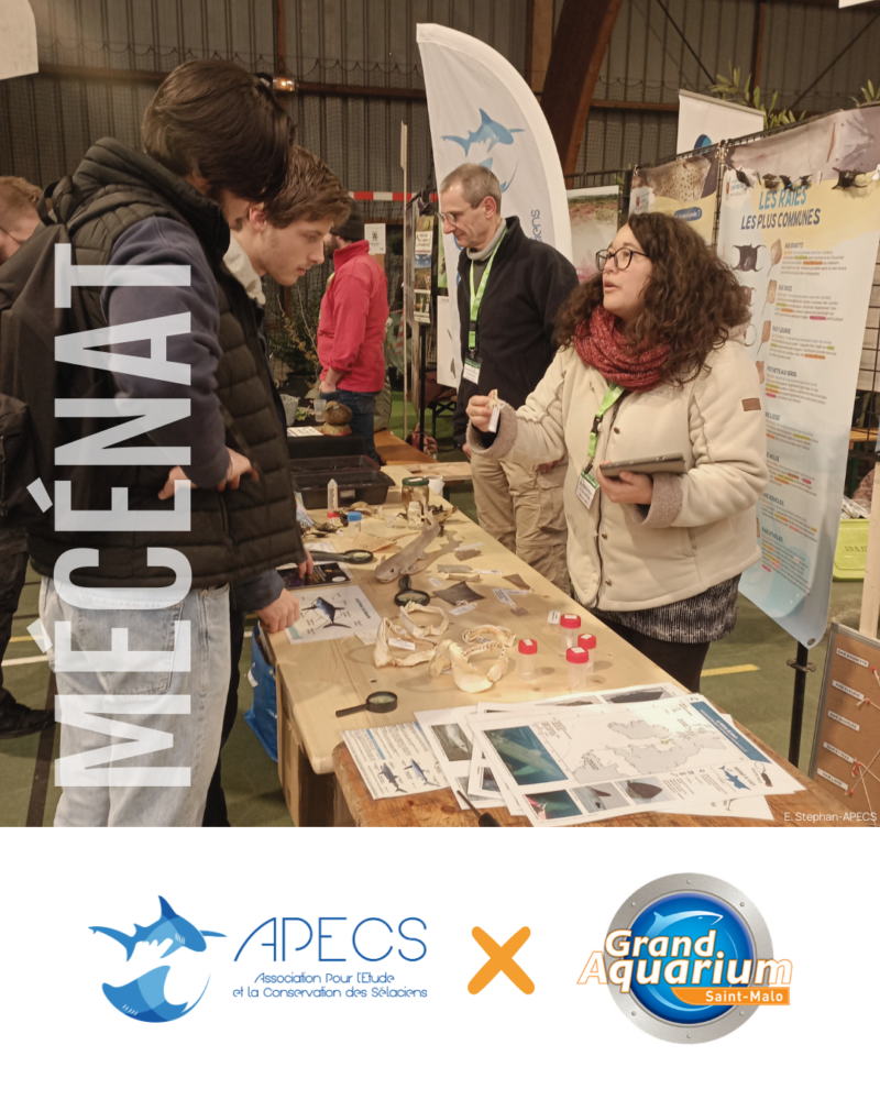 APECS Nos mécènes en 2025