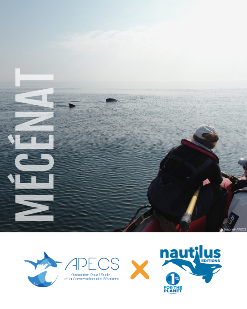 APECS Nos mécènes en 2025