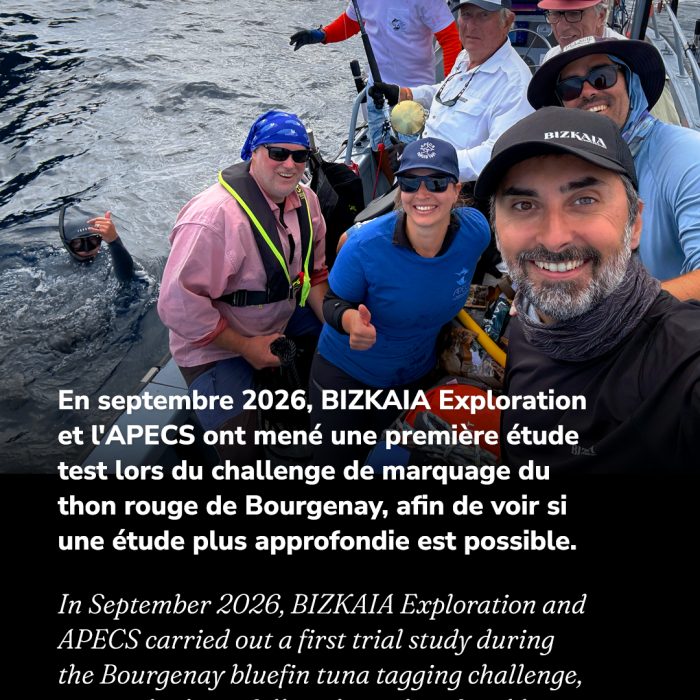 APECS À la rencontre du requin renard au large de la Vendée
