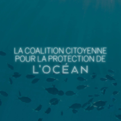 La coalition citoyenne pour la protection de l'Océan