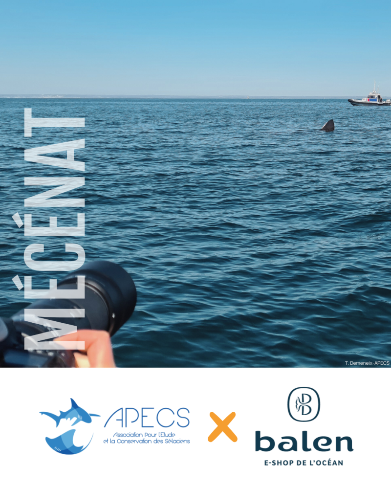 APECS Nos mécènes en 2025