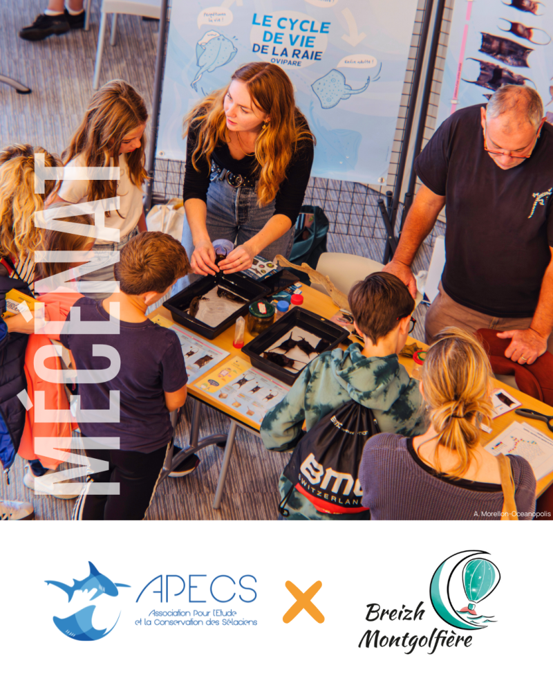 APECS Nos mécènes en 2025