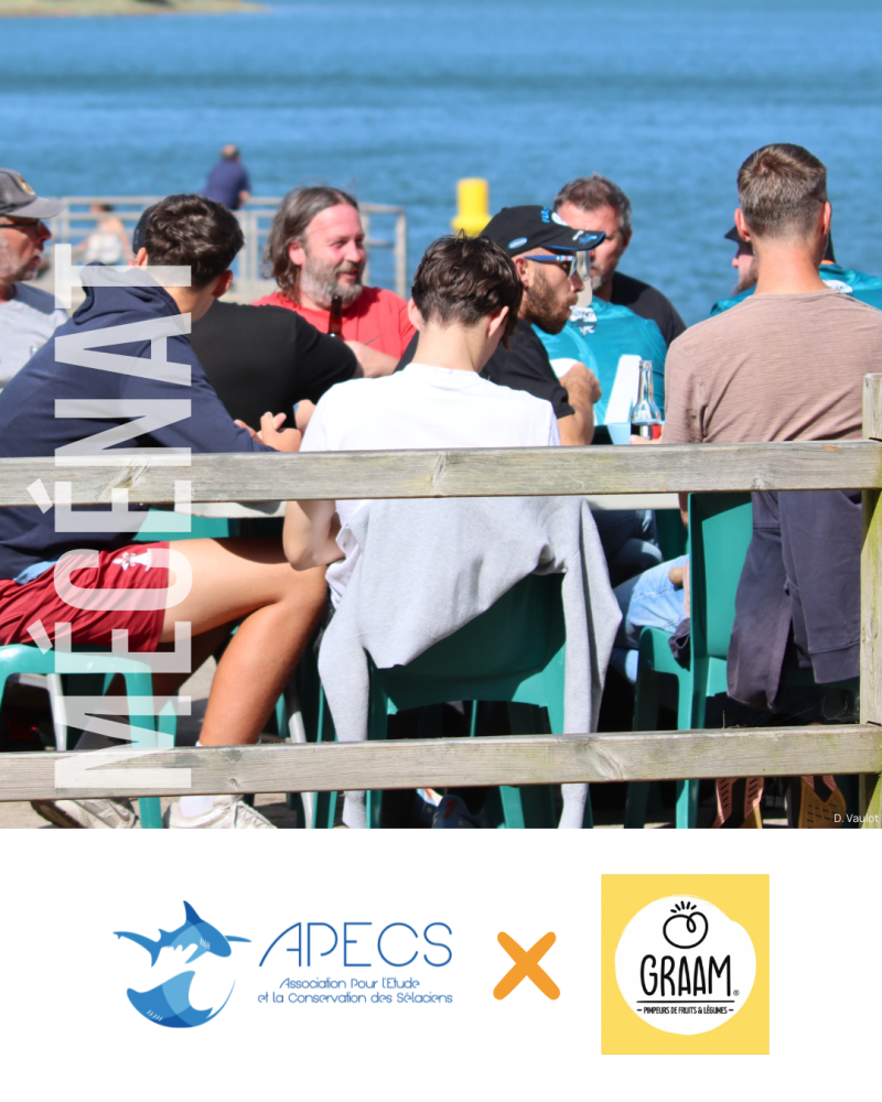 APECS Nos mécènes en 2026