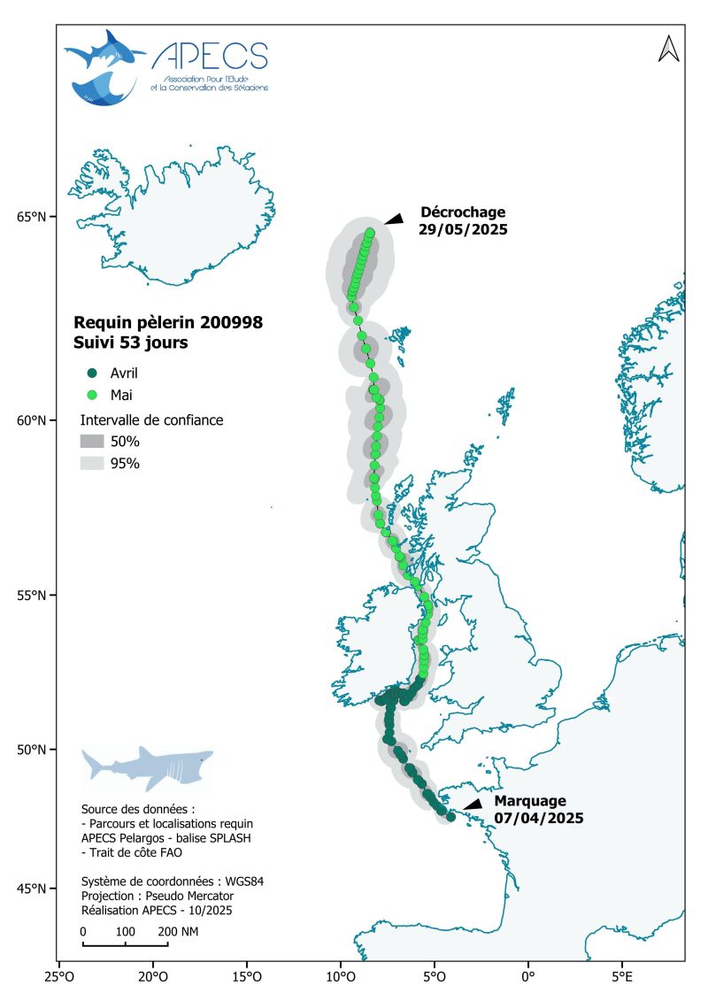 APECS Journée mondiale du requin pèlerin à l’initiative de Basking Shark Scotland