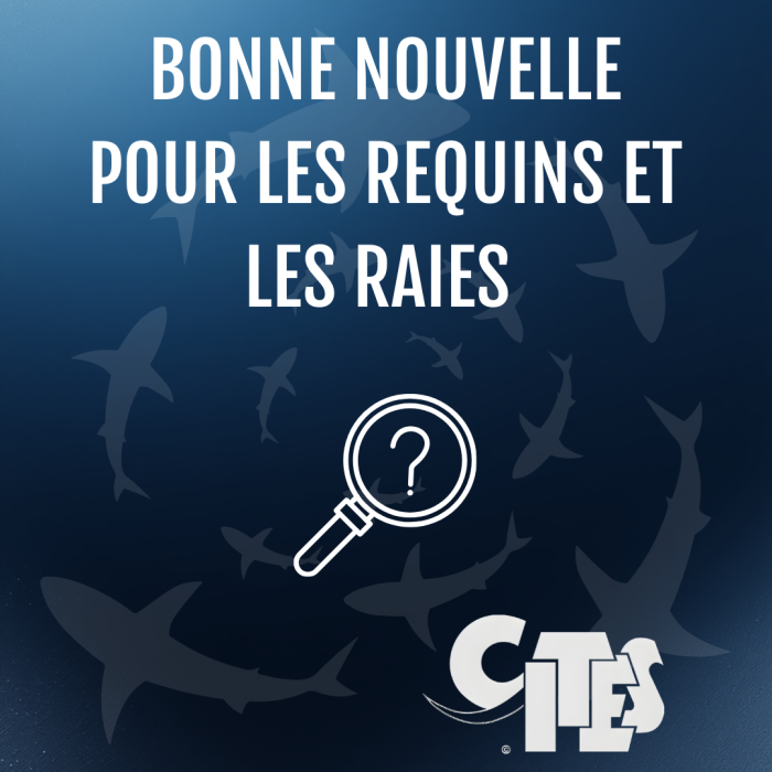 APECS CITES