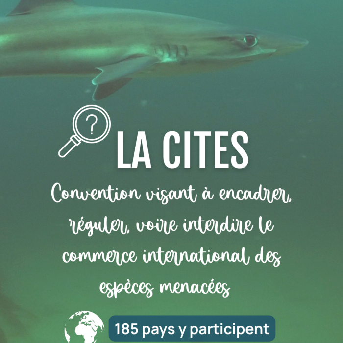 APECS CITES
