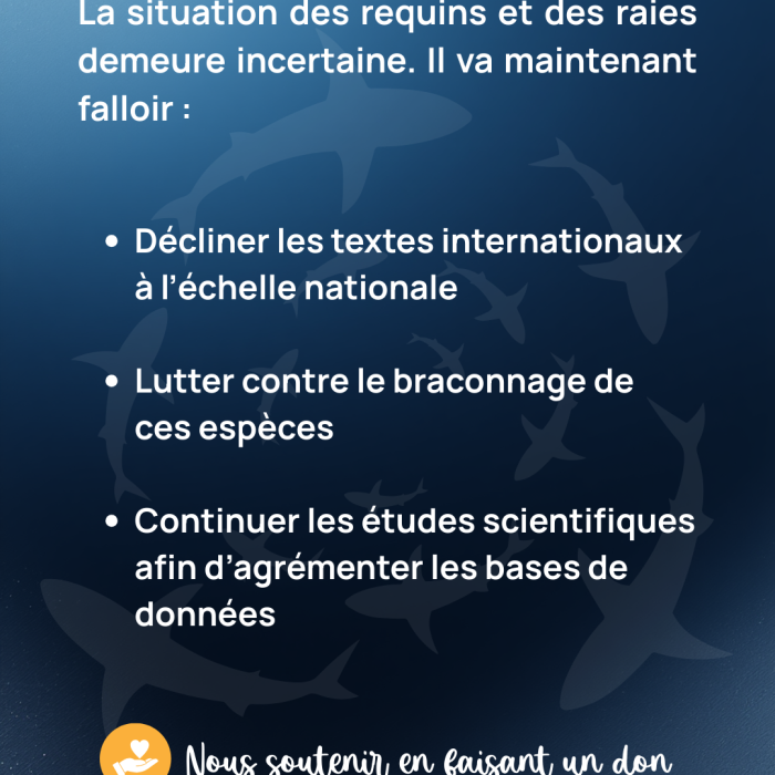 APECS CITES