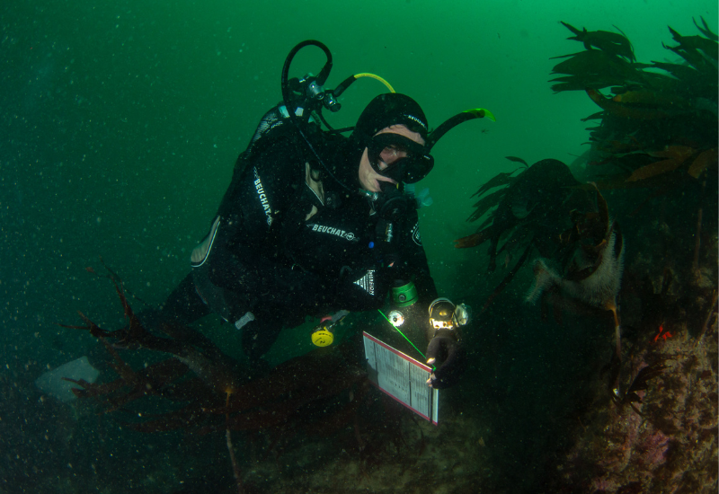 Fin de la phase de test avec les plongeurs pour suivre les poissons et habitats rocheux côtiers