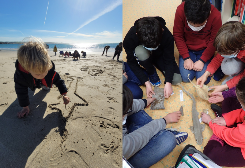 Notre collaboration continue avec la Ville de Brest et le Parc naturel marin d’Iroise pour la sensibilisation des plus jeunes !