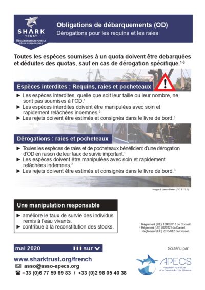 Dérogations des obligations de débarquement pour les requins et raies