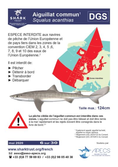 Réglementation aiguillat commun (<em>Squalus acanthias</em>)