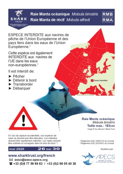 Réglementation raie manta océanique (<em>Mobula birostris</em>) & raie manta de récif (<em>Mobula alfredi</em>)