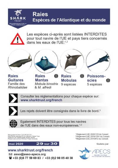 Réglementation raies (espèces de l’Atlantique et du monde)