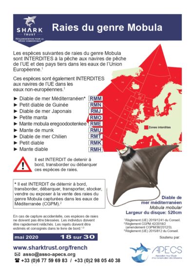Réglementation raies du genre <em>Mobula</em>