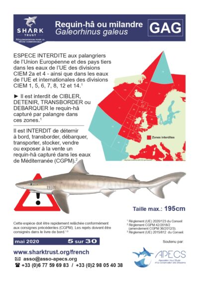 Réglementation requin hâ (<em>Galeorhinus galeus</em>)
