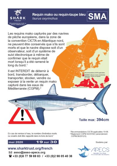 Réglementation requin mako (<em>Isurus oxyrinchus</em>)