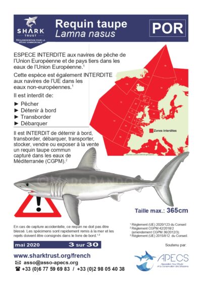Réglementation requin taupe commun (<em>Lamna nasus</em>)