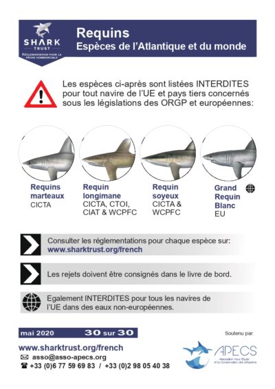 Réglementation requins (espèces de l’Atlantique et du monde)