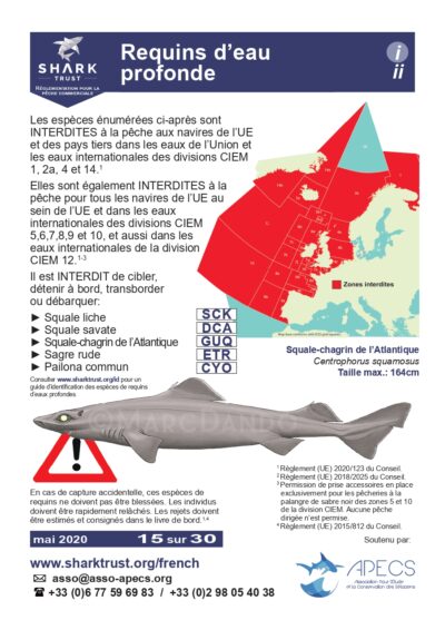 Réglementation requins d’eau profonde