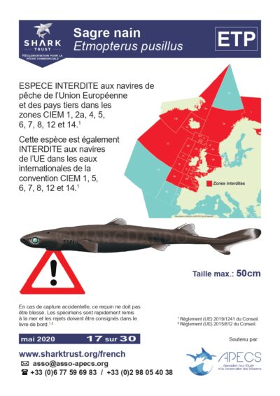 Réglementation sagre nain (<em>Etmopterus pusillus</em>)