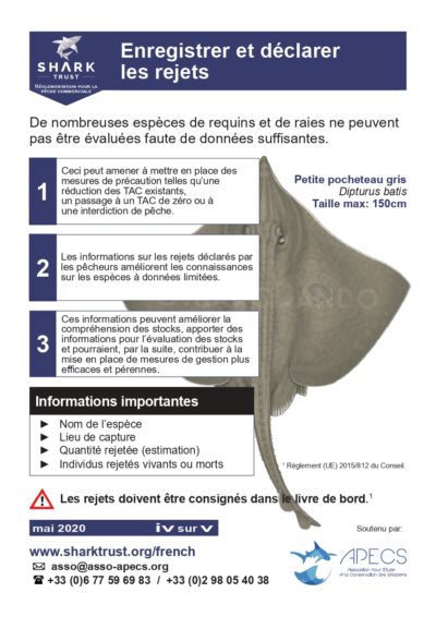 Les rejets