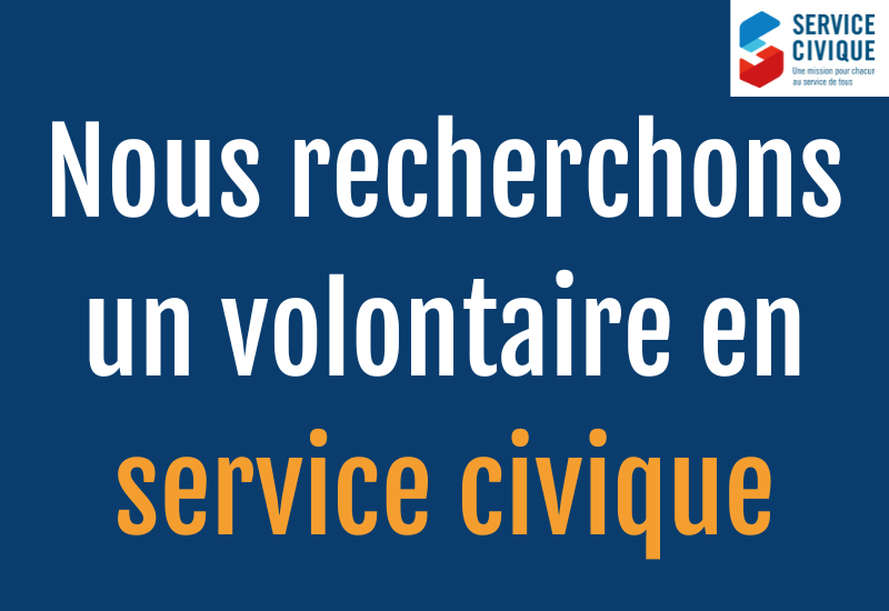Deviens ambassadeur de la protection des requins et des raies